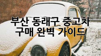 부산 동래구 중고차 구매 완벽 가이드