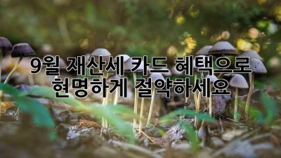 9월 재산세, 카드 혜택으로 현명하게 절약하세요!